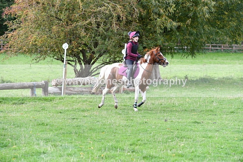 WJ5_0614 - Time 13:59 to 14:28