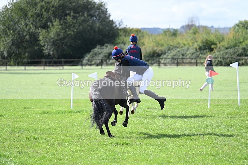 WJ7_8520 - 60cm Pairs