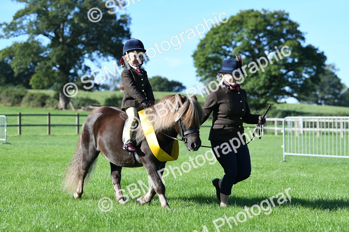 SBM_35502 - S17 - Condition & Turnout - Lead Rein