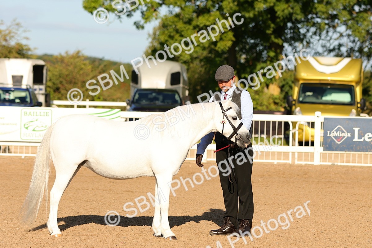 SBM_07986 - Class 201 - Best Turned Out - IH