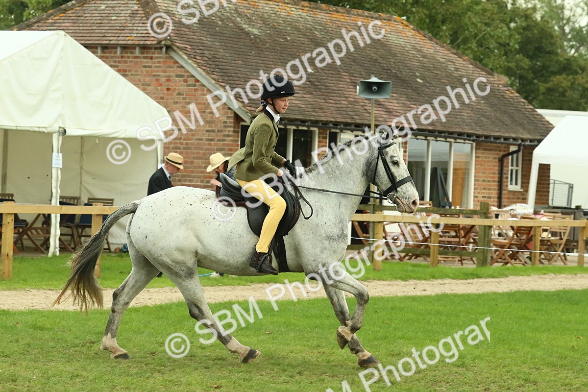 SBM_74063 - S 61 - Show Pony & Show Hunter Pony Ridden