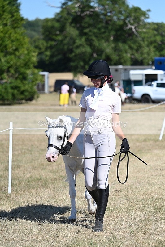 WJ7_1782 - Class 43 Best Six Legs (In hand)