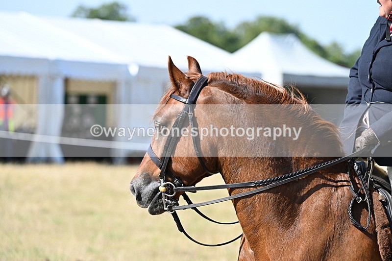 WJ7_3827 - Class 9 Mountain & Moorland Ridden