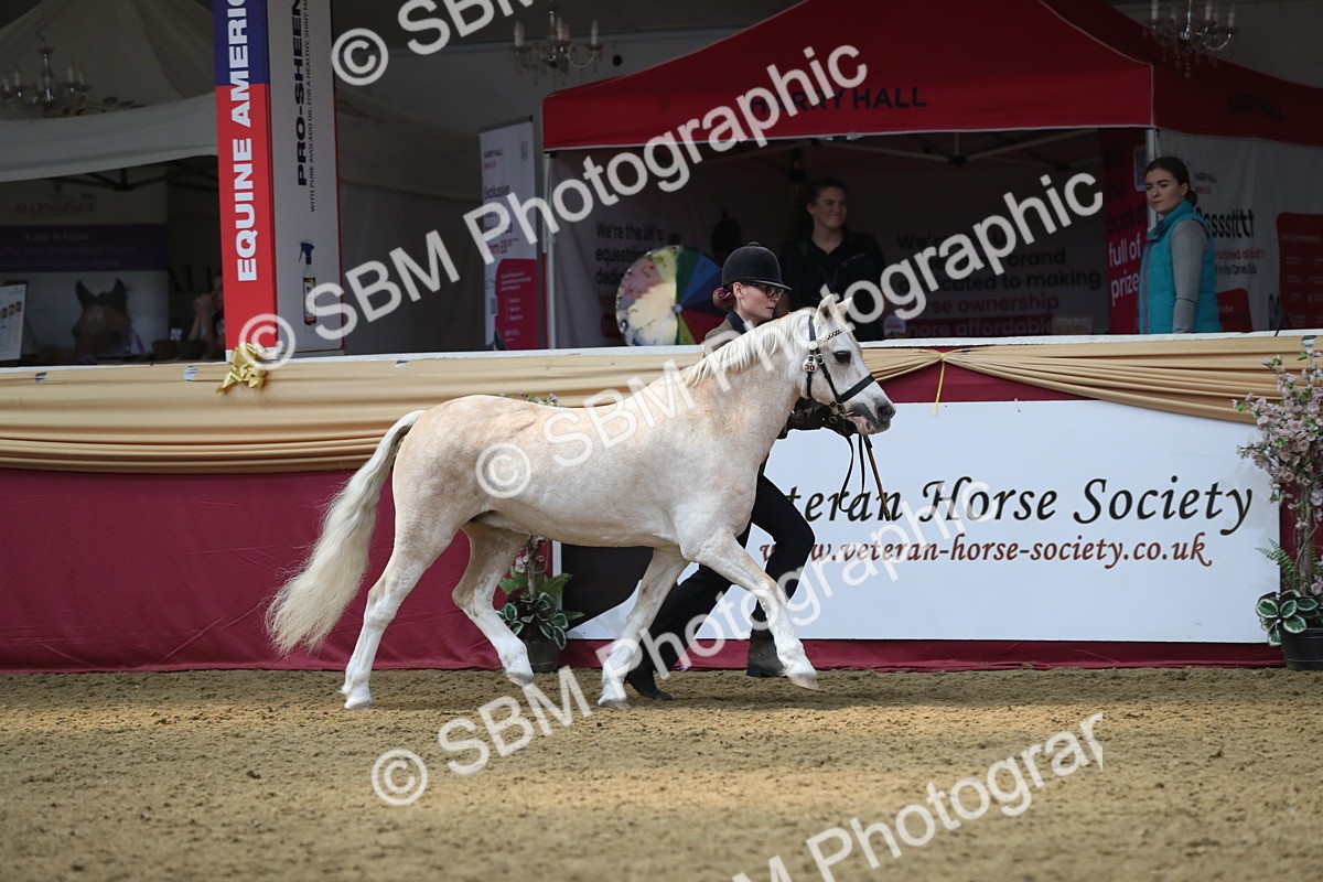 SBM_15210 - Class 501 M&M IH Supreme Final