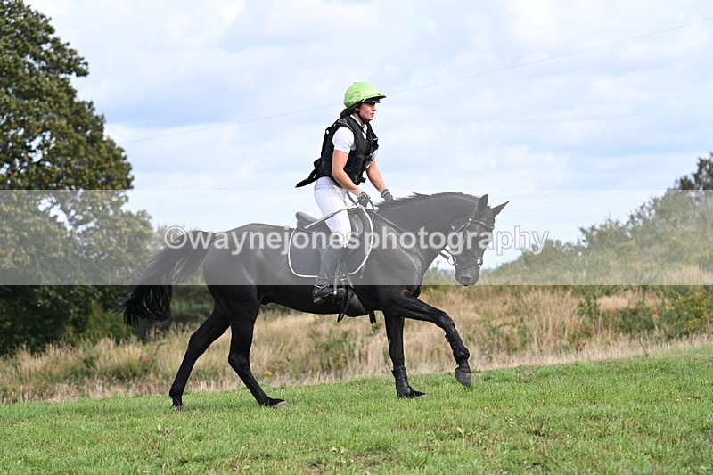 WJ7_1282 - Time 12:34 to 13:16