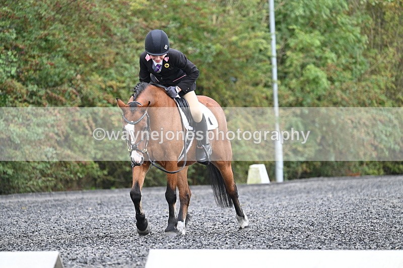 WJ7_4048 - Time 11:04 to 11:38