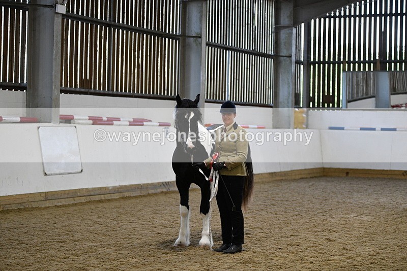 WJ5_5143 - Class 7 In hand coloured / odd coloured