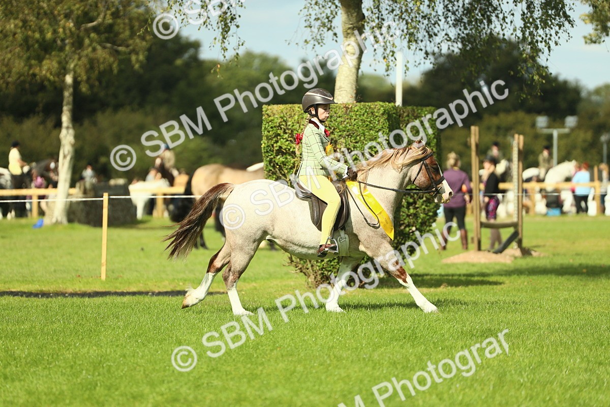 SBM_44932 - Working Hunter Pony Supreme Championship