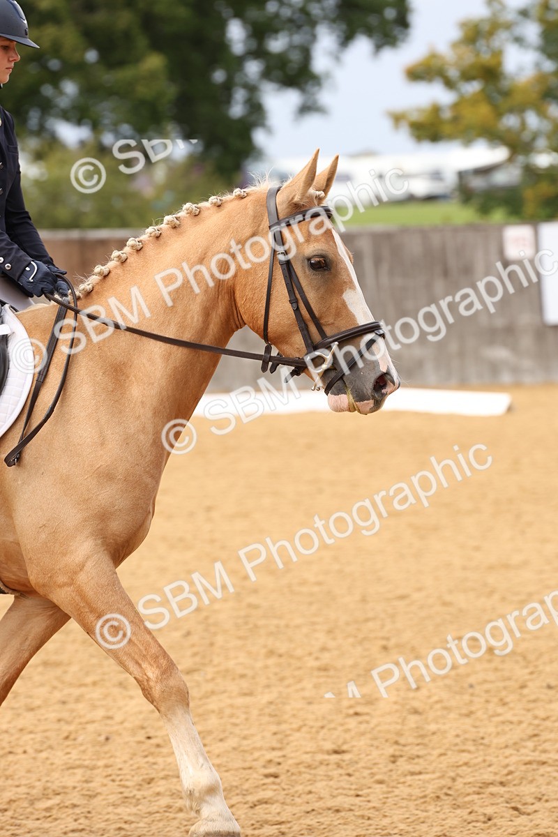 SBM_09082 - D30 - Small Tour PYO Open