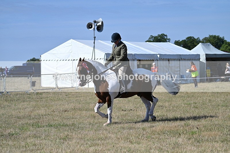 WJ7_3288 - Class 8 Ridden Tack & Turnout