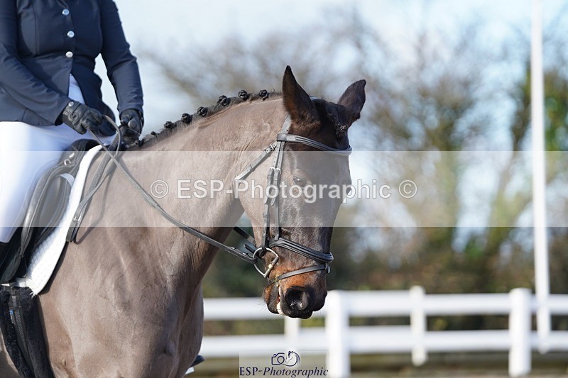 241214-124348-00499 - 140-Samantha.Henderson-Rich.Tricks.Otis