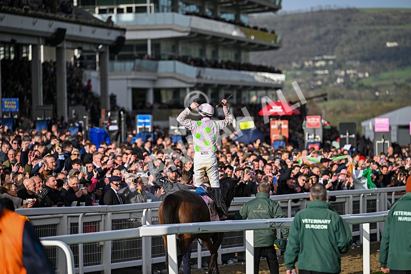 130326-Race 5-Gaelic Warrior-2796 - 13th March