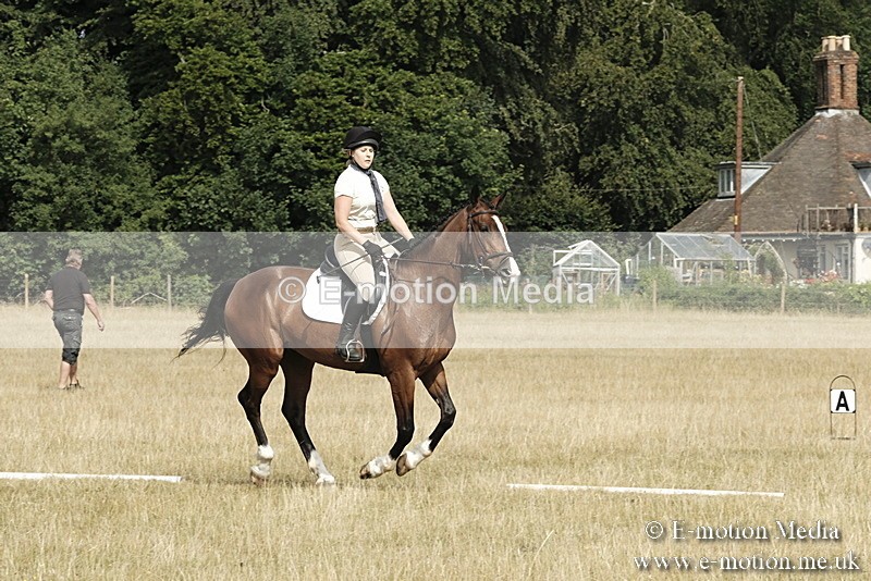 _PJP5688 - Dressage Classes BVRC Show 2018
