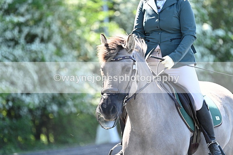 WJ7_9419 - Time 12:10 to 12:21