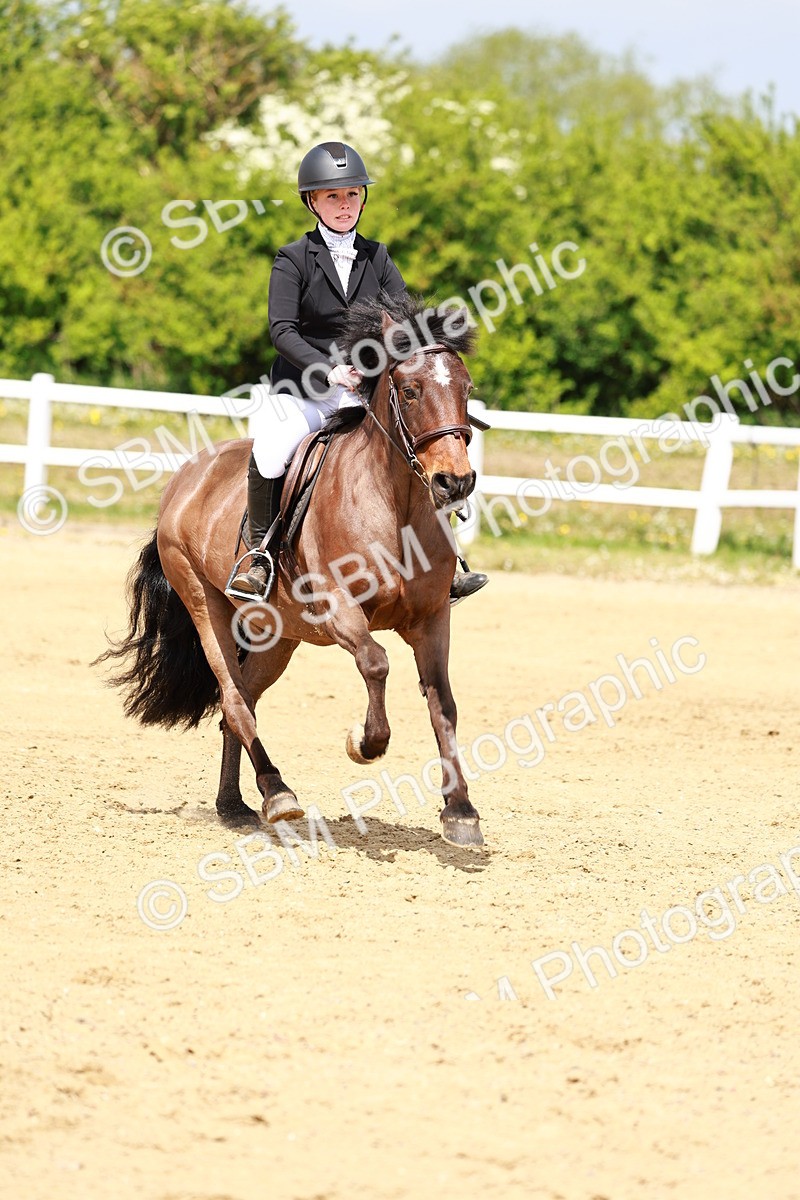 SBM_007950 - Class 3 - 60cm