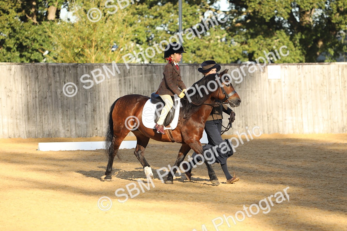 SBM_33672 - D26 - Starers - Lead Rein