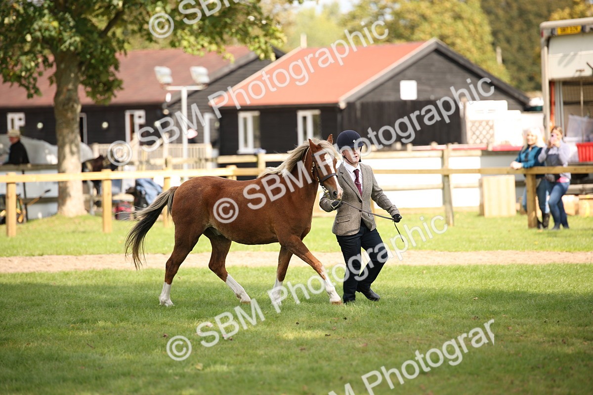 SBM_44491 - S24 - Young Veteran in hand