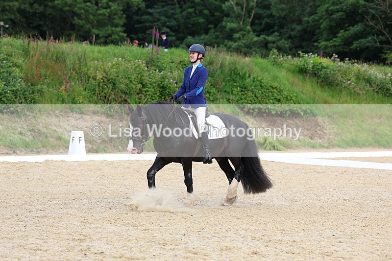 3E7A1654 - Class 2: Intro 2 2024 Section B