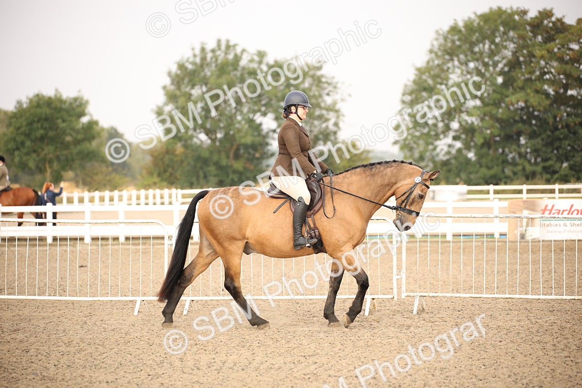 SBM_10188 - Class 402 Riding Club Horse