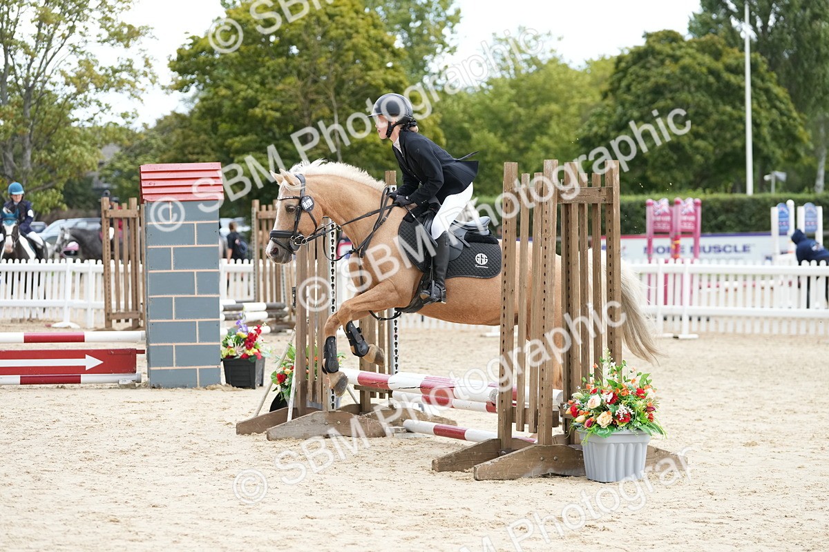 SBM_19631 - J49 - Open 50cm