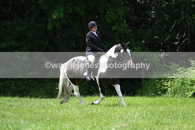 WJ7_2657 - Class 12A Coloured Class