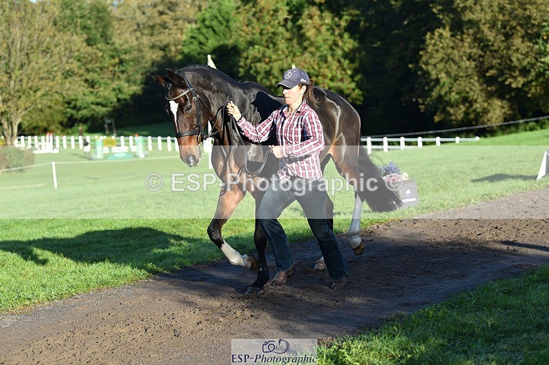 231022-092744-21805 - 685-ADRENALIN.II-Cosima.Atkinson-TrotUp+SJ