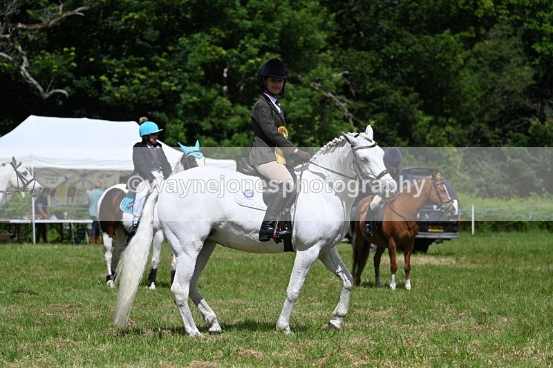 WJ7_1818 - Class 9 Pony Club Pony