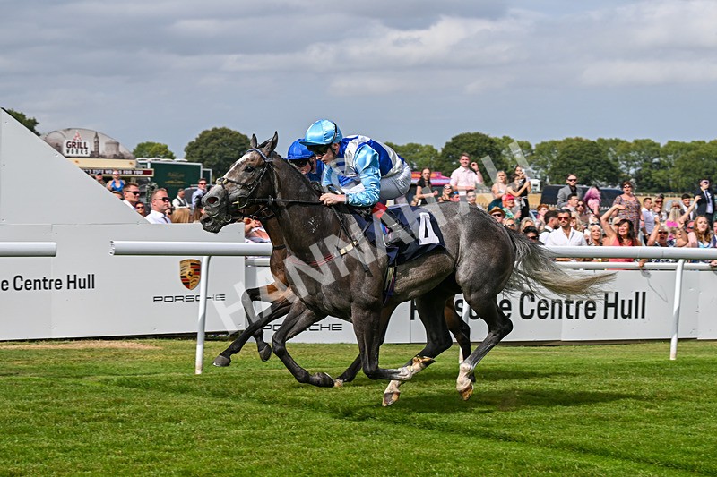 140824-Race 5-Havana Blue-6695 - Race 5