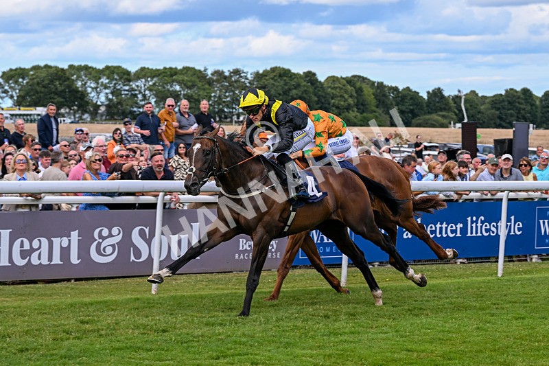 040726-Race 2-Rosberg-3501 - Race 2 14.52pm Matthew Ireland Memorial EBF Maiden Stakes