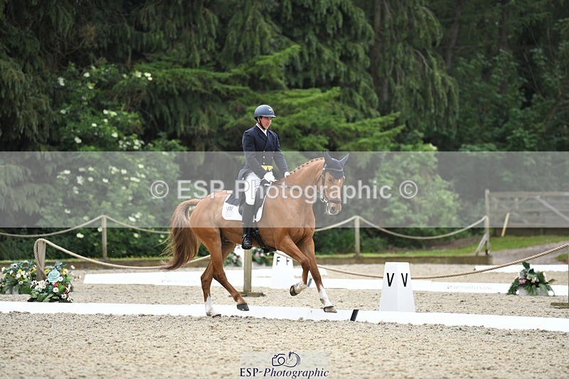 230525-125029-02035 - 111-CREEVAGHSTABLES_IFICUDIWUD-Tim_Cheffings-WEDTrotUp+DR