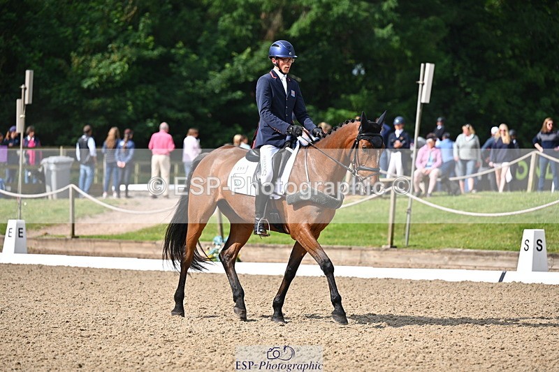 250523A-093941-05294 - C-258-Bill.Levett-ITALIAN.HARLEQUIN.NJ