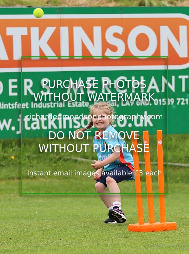 IMG_1216 - All Stars Cricket-Netherfield