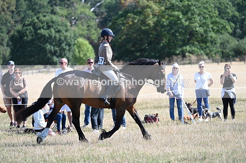 WJ7_3900 - Class 9 Mountain & Moorland Ridden