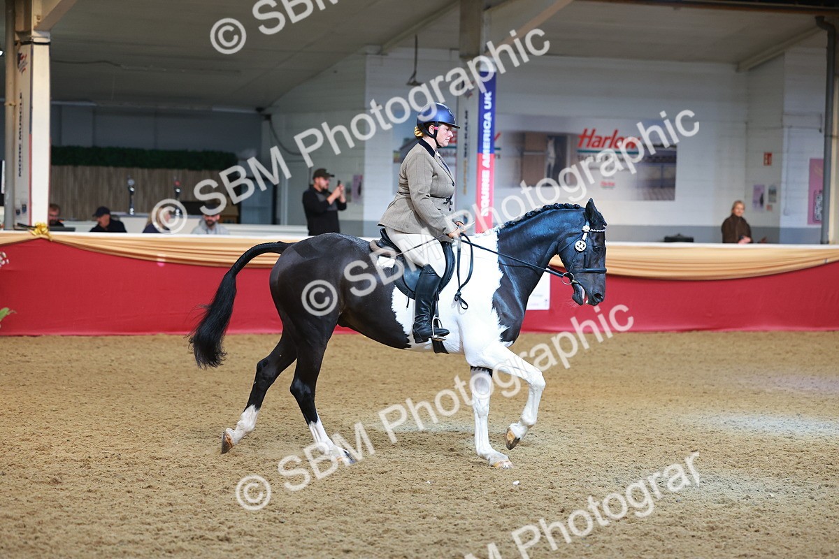 SBM_09759 - Class 102 - HOYS Veteran Qualifier - Ridden Veteran