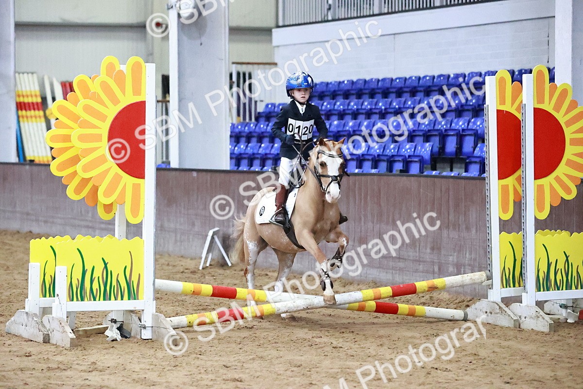 SBM_000212 - Class 1 - 40cm