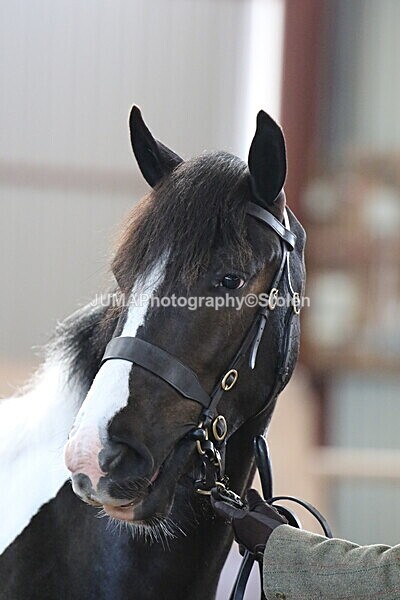 SIAL9358 - Indoor Classes