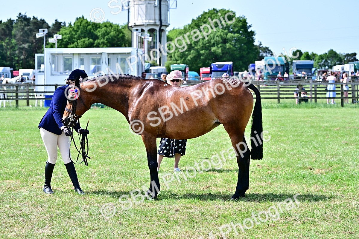 SBM_03863 - Class 58 - TSR  Ridden Veteran Amateur of the year