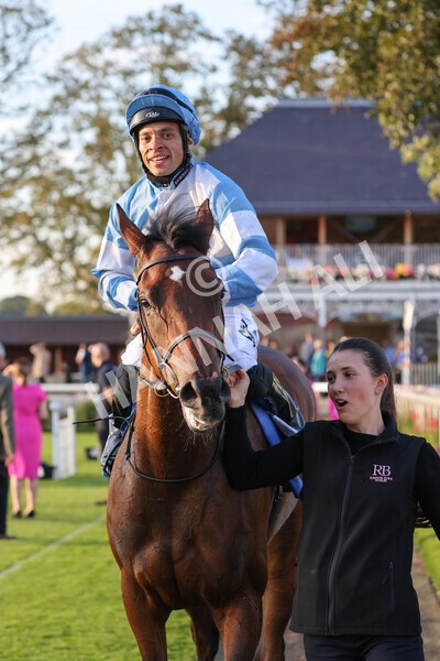 yr08102021r6-30 - Race 6 4.55pm Frank Whittle Partnership British EBF Restricted Novice Stakes