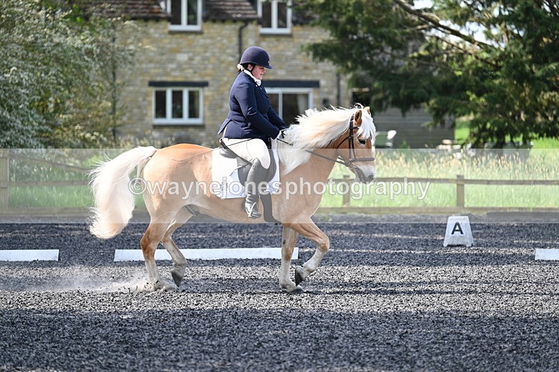 WJ7_7966 - Time 10:11 to 10:27