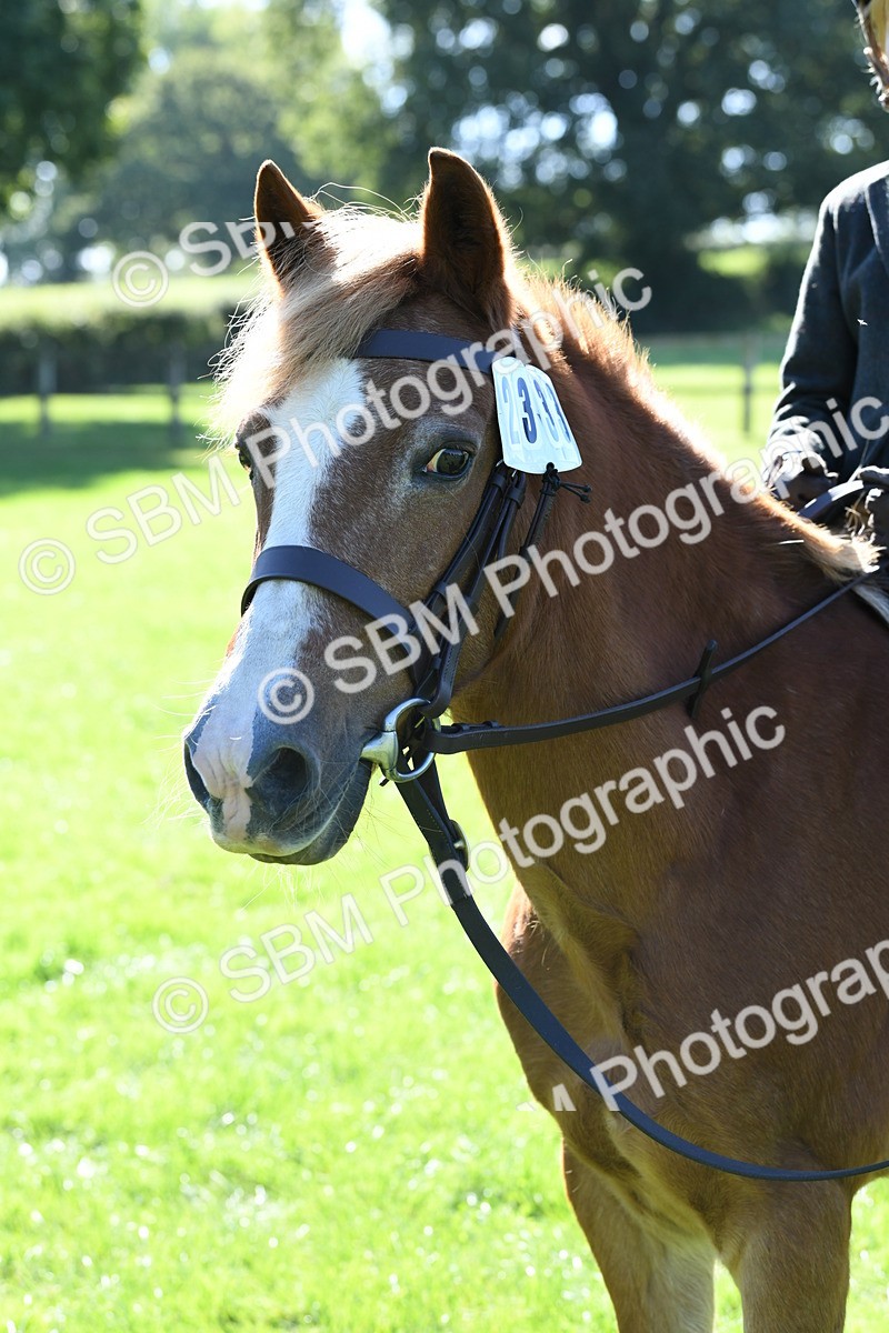 SBM_39617 - S18 - Novice & Newcomers Lead Rein Pony