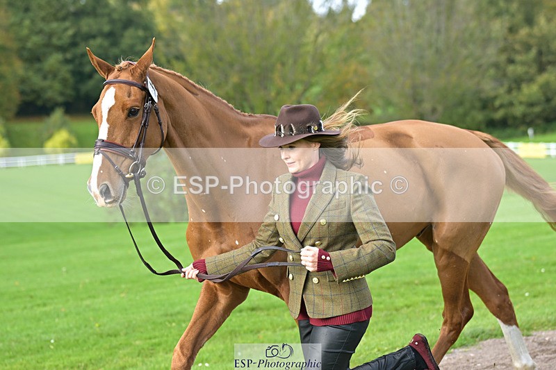 241023-131742-00189 - 010-Julia.Norman-SCOTCH.ON.THE.ROCK'Z