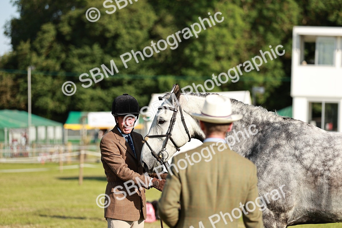 SBM_20014 - Class 115-116 - LIHS BSHA Rising Star Working Hunter & Show Horse