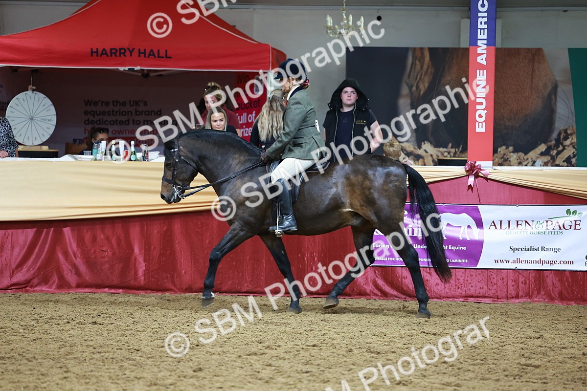 SBM_18857 - Class 952 - M&M Ridden Supreme Final