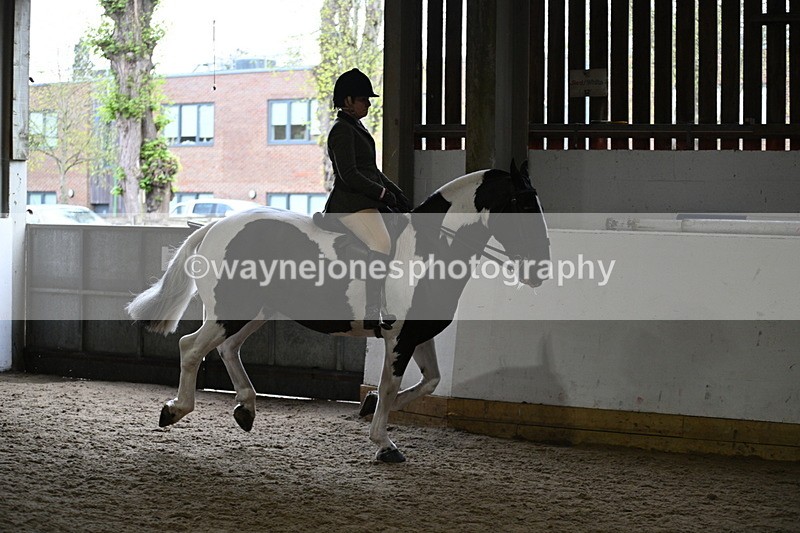 WJ7_3818 - Class 17 Ridden Cob