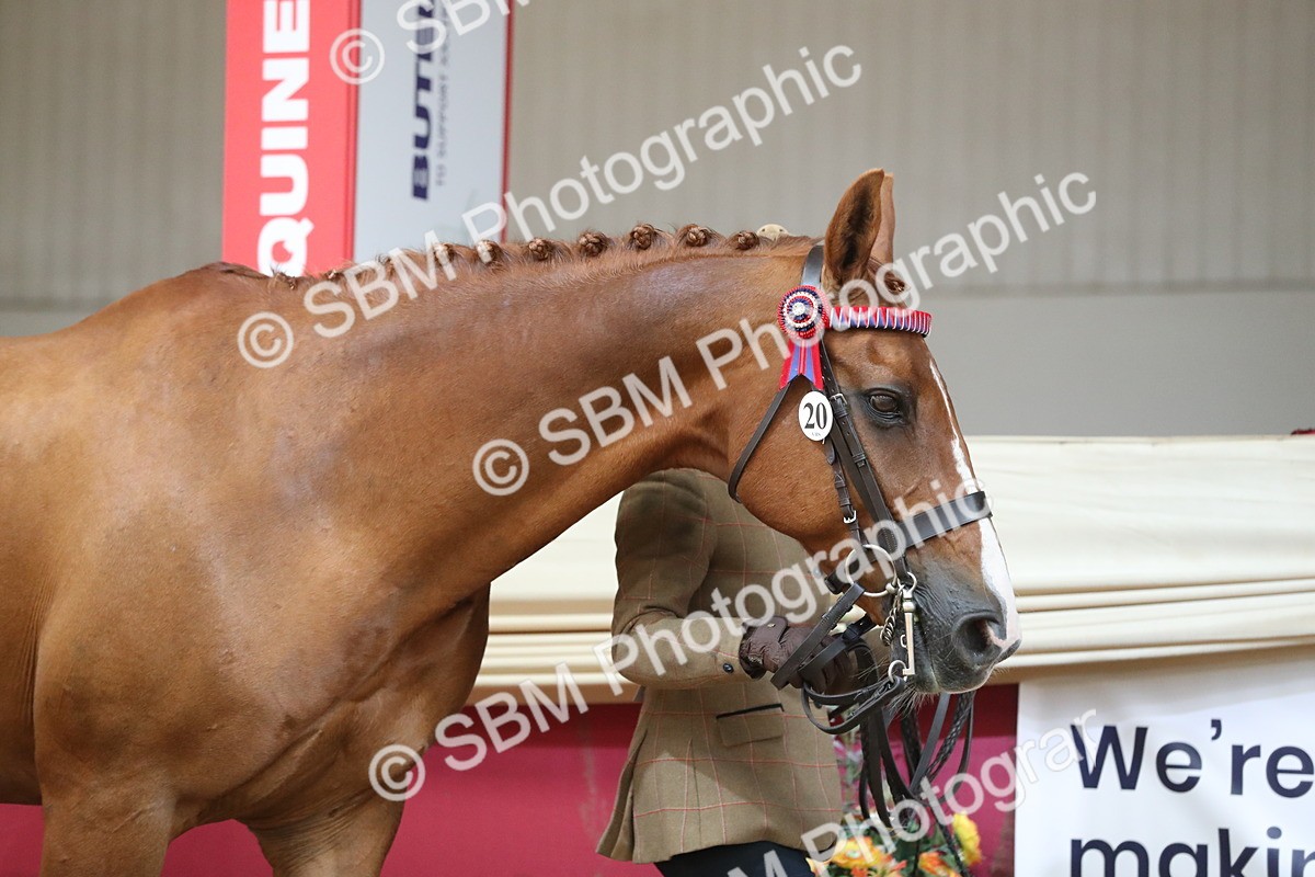 SBM_04907 - Class 8R- Regional -IH Veteran