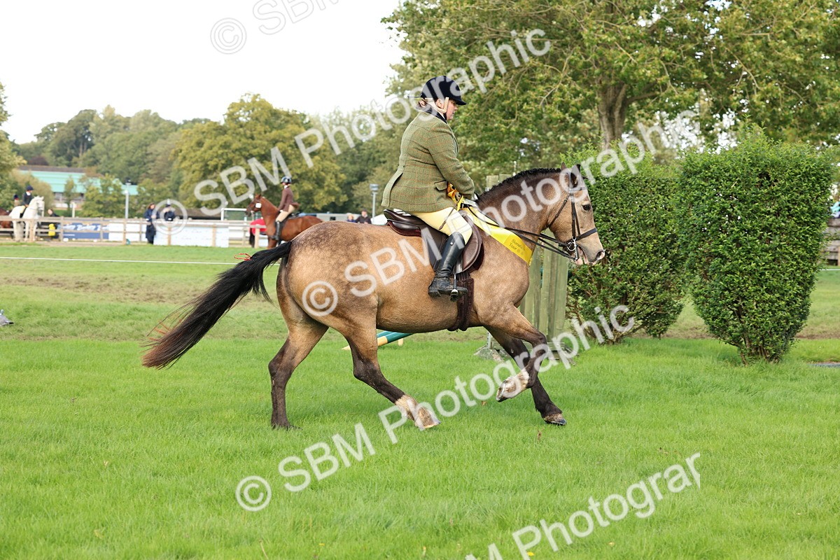 SBM_46349 - Working Hunter Pony Supreme Championship