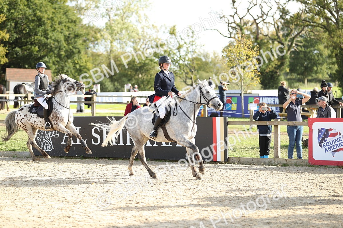 SBM_49689 - J22 - Junior Horse 65cm Championship