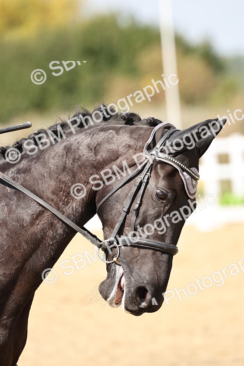 SBM_018700 - Class 16 - Novice 5 - 12.08-13.11