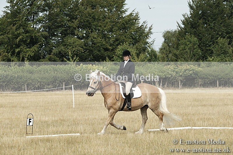 _PJP5717 - Dressage Classes BVRC Show 2018