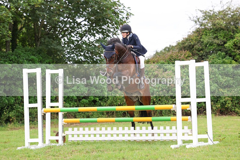 3E7A7145 - Class 5: Senior British Novice/90cm open